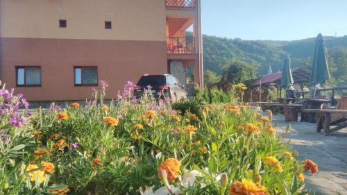 Sil Hotel | Discover Bilovoddya Hotel: Beachfront Retreat with Spa