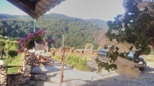 Sil Hotel | Discover Bilovoddya Hotel: Beachfront Retreat with Spa