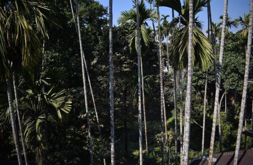 Alipurduar House | Binay chapa homestay in jaldapara