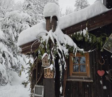 Vorderthiersee House | Discover Binderhäusl: Pet-Friendly Getaway with High Ratings