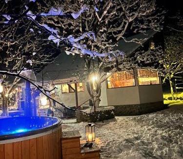Recea Ski Chalet | Riverfront Retreat: Biniște Tiny House with Hot Tub
