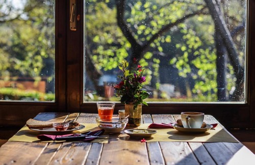 San Pietro in Bossolo House | Experience Bio-Agriturismo La Ginestra with Ocean Views
