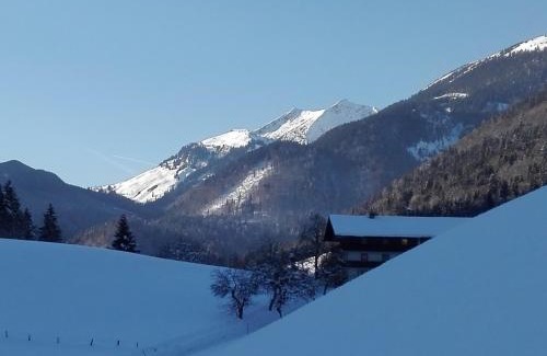 Landl Apartment | Pet-Friendly Retreat at Bio-Bauernhof "Hecherhof" - 9.3/10