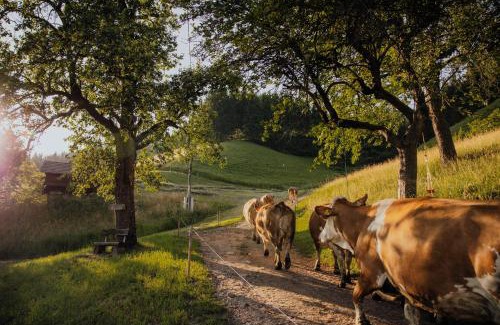 Dellach Apartment | Guest Rated: 10/10 at Bio-Bergbauernhof Weger
