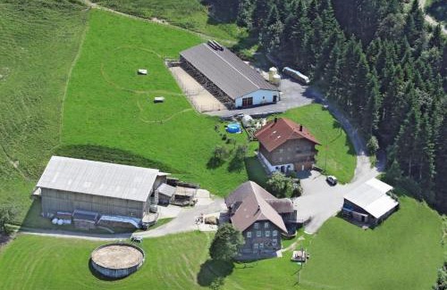 Schwarzenberg Apartment | Family-Friendly Retreat at Bio-Hof Brudersrüti