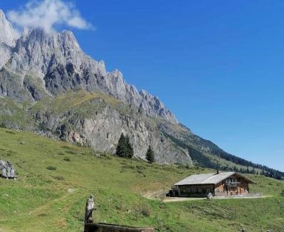Muehlbach Am Hochkoenig Ski Chalet | Guest Favorite: Bio Schartenalm - Child-Friendly Retreat