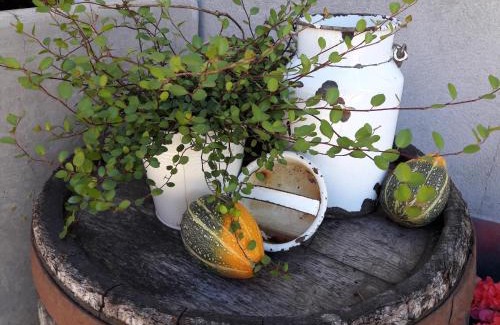 Goestling an der Ybbs Apartment | Oceanfront Retreat at Biobauernhof Obereck - 9.8/10 Rating