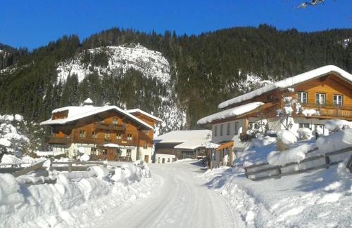 Eben im Pongau House | Experience Biobauernhof Windbachgut: Perfect for Families & Pets