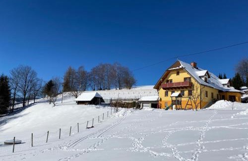 Sankt Jakob im Walde Apartment | Discover Biohof Kroisleitner: Pet-Friendly Retreat with Kitchen