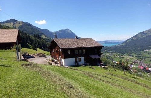 Lauerz Apartment | Pet-Friendly Retreat at Ferienwohnung Langberg