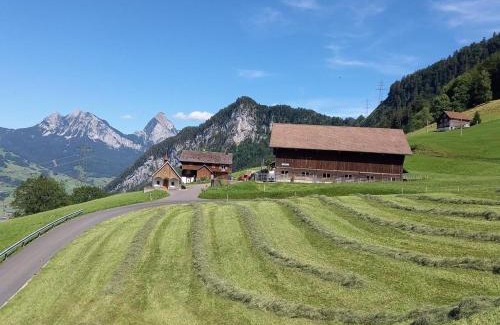 Lauerz Apartment | Pet-Friendly Retreat at Ferienwohnung Langberg
