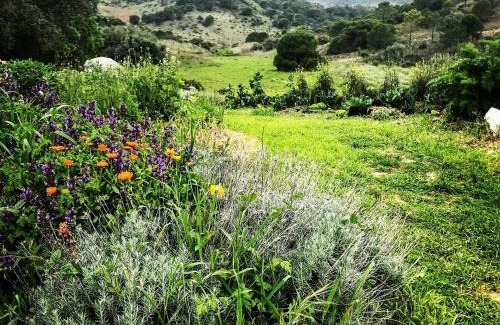 Setubal Cabin | Eco-Friendly Retreat at Biovilla Sustentabilidade