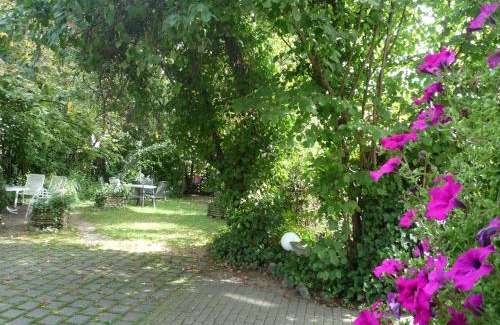 Hopfigheim Hotel | Discover Höpfigheimer Hof: Eco-Friendly Retreat with Wine Shop