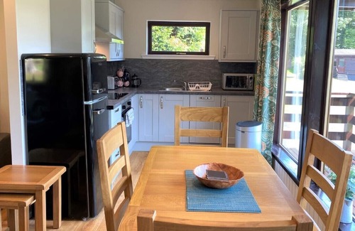 Newton Stewart House | Birch Lodge 21 with Hot Tub, Newton Stewart