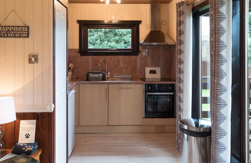 Newton Stewart House | Birch Lodge 23 with Hot Tub, Newton Stewart
