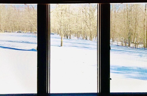 Fleischmanns House | Birch Tree Lodge - Inviting Cabin Retreat with Spa & Hot Tub