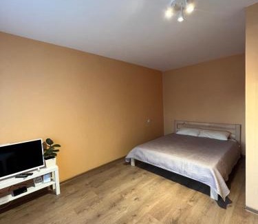 Jelgava Apartment | Birch View Apartment: Family & Pet-Friendly Retreat