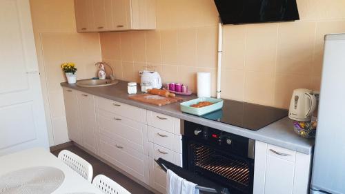 Jelgava Apartment | Birch View Apartment: Family & Pet-Friendly Retreat