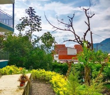 Jardin Apartment | Cozy Bird House Apartment - Pet & Child Friendly Retreat