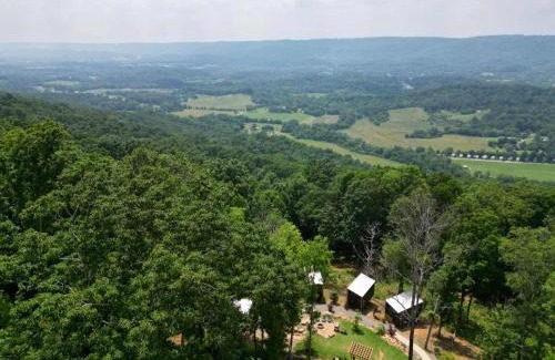 Wildwood House | Bird's Nest Spruce at Treetop Escapes