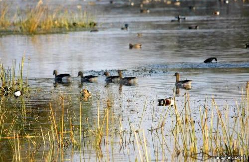 Gurugram Hotel | Bird Sanctuary Tourist Resort