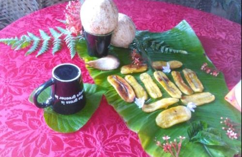 Tanna Island Apartment | Discover Bird View Bungalow: Family-Friendly Getaway