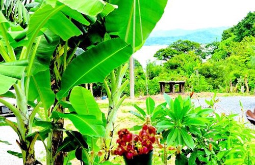 Tatsugo Cabin | Relax at Birdland Nature Resort: Pool, Sauna & Ocean Views