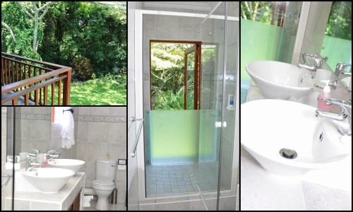uMlalazi Bed & Breakfast | Enchanting Birds of Paradise B&B with Pool & Breakfast