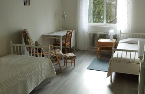 Falun Bed & Breakfast | Birgittagården: Family-Friendly Stay with Great Amenities