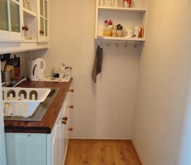 Biri Apartment | Convenient Biri Apartments Near Gjøvik and Lillehammer