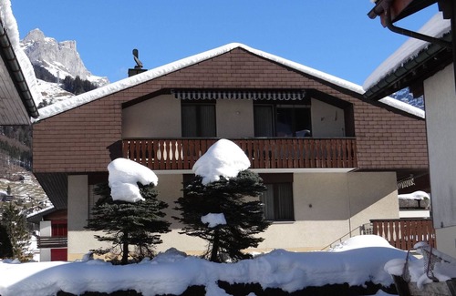 Engelberg Apartment | Cozy Birkenstrasse 70/2: Spa, Kitchen & Great Reviews!