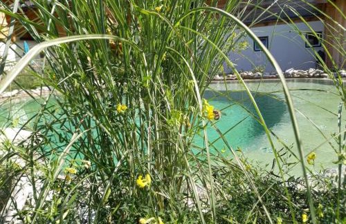 Grossarl House | Birnbaum Chalet Kreuzkogel: Nature Retreat with Pool & Garden