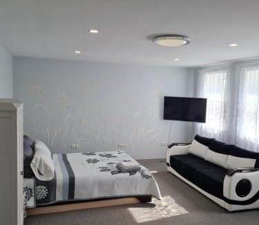 Klaipeda Apartment | Family-Friendly Birutės Apartamentai with Top Reviews
