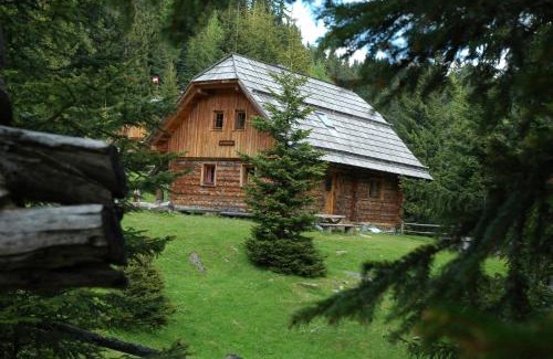 Bad Sankt Leonhard im Lavanttal Ski Chalet | Pet-Friendly Bischofhütten with High Guest Ratings