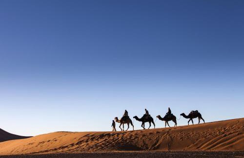 M'Hamid El Ghizlane Other | Pet-Friendly Getaway at Bivouac M'hamid Le Pacha