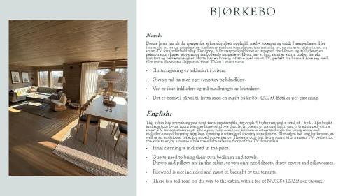 Al House | Bjørkebo in Ål - cabin in hiking and skiing area