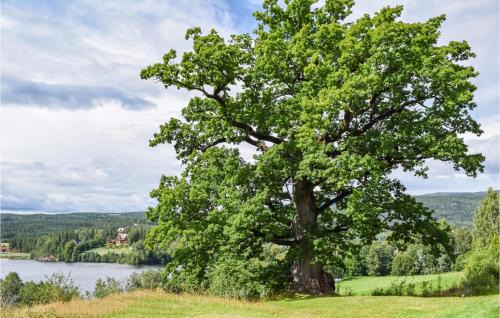 Krodsherad Apartment | Discover Bjertnes Turistgrd: Pet & Child Friendly Retreat