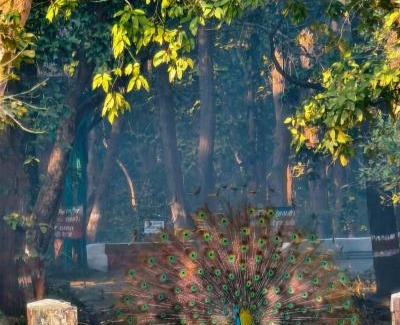 Puranpur House | Bk Sarkar Homestay