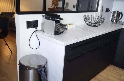 Chateaux de la Loire Apartment | Elegant Black and White Apartment with Spa in Tours