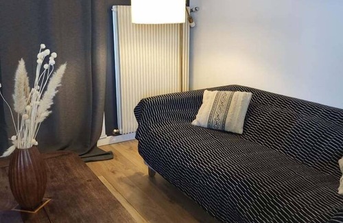 Chateaux de la Loire Apartment | Elegant Black and White Apartment with Spa in Tours