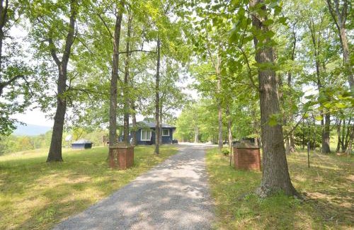 Berkeley Springs House | Experience Black Bear Cabin - Your Family's Mountain Retreat!