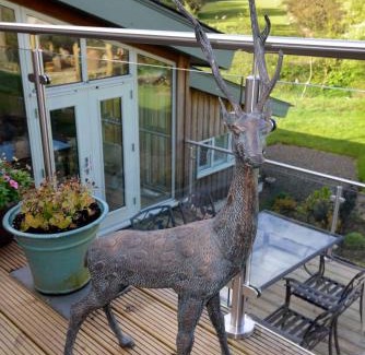 Newcastleton Bed & Breakfast | Guest Rated 9.6: Black Burn Lodge B & B - Child Friendly Stay