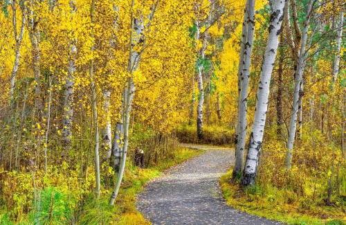 Black Butte Ranch House | Discover Black Butte Ranch: Family-Friendly Aspen Grove Escape