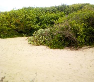 Kumpurupiddi Hotel | Relax at Black Forest Beach Resort with Private Ocean Views
