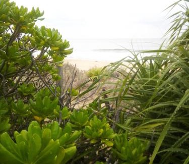 Kumpurupiddi Hotel | Relax at Black Forest Beach Resort with Private Ocean Views