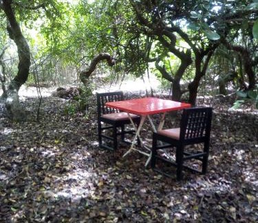 Kumpurupiddi Hotel | Relax at Black Forest Beach Resort with Private Ocean Views