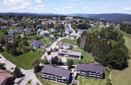 Hoechenschwand Apartment | Experience Comfort at Black Forest with Pool & Family-Friendly Perks