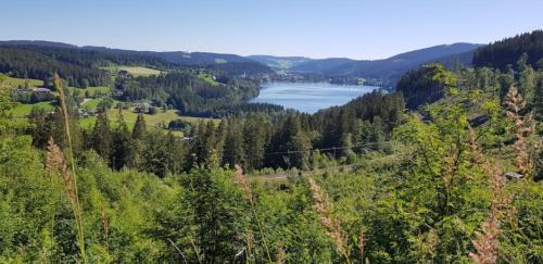 Hoechenschwand Apartment | Relaxing Black Forest Retreat with Indoor Pool & Ocean Views