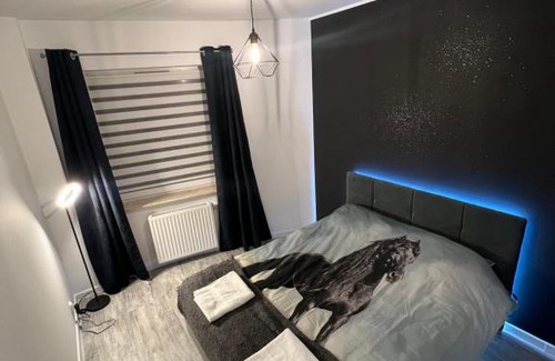 Pierwoszyno Apartment | Discover Black Horse: 24h Check-in, Family & Pet Friendly