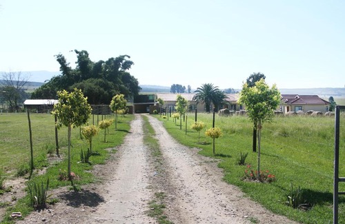 Vryheid Cabin | Comfortable Black Horses Lodge with Family-Friendly Amenities